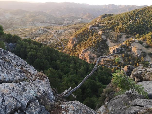 Vista Mora Sierra Cazorla Villa La Iruela Eksteriør billede